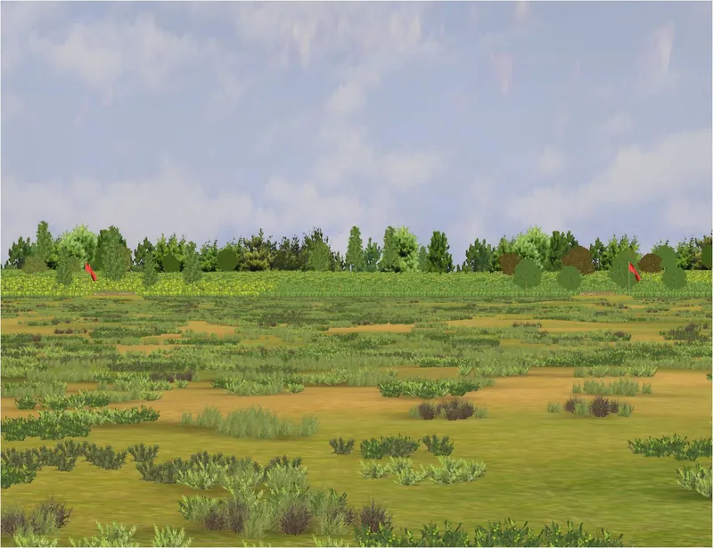 Punjab Plains