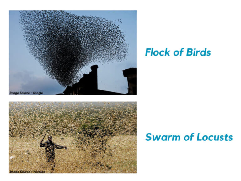 swarm drones